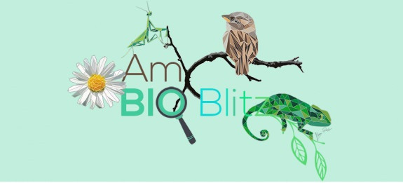 Talleres de biodiversidad ,fauna y flora . II AmBioBlitz